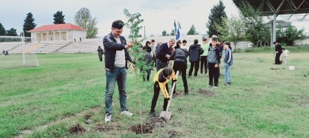 Mərkəzi Aran Regional Təhsil İdarəsinin təşəbbüsü ilə regionda ağacəkmə aksiyası keçirilib