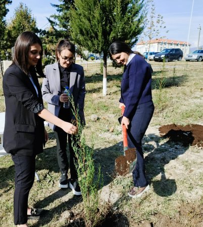 Təhsil İdarəsi ağacəkmə aksiyası keçirib