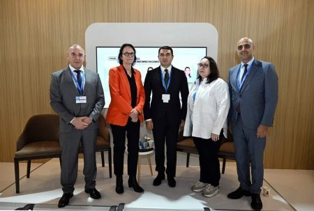 “Yaradıcı sənayelərin iqlim dəyişmələrinə təsiri” mövzusunda panel sessiyası təşkil olunub