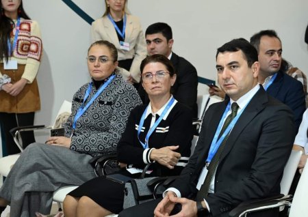 “Yaradıcı sənayelərin iqlim dəyişmələrinə təsiri” mövzusunda panel sessiyası təşkil olunub