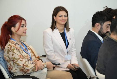 “Yaradıcı sənayelərin iqlim dəyişmələrinə təsiri” mövzusunda panel sessiyası təşkil olunub