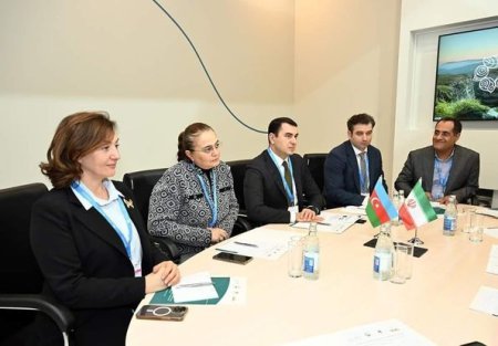 Adil Kərimli İranın mədəni irs, turizm və sənətkarlıq naziri ilə görüşüb