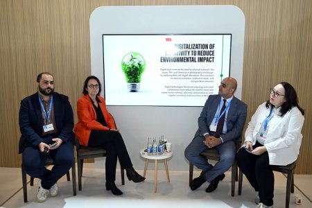 “Yaradıcı sənayelərin iqlim dəyişmələrinə təsiri” mövzusunda panel sessiyası təşkil olunub
