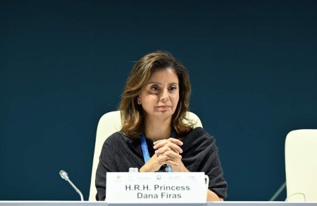 “İqlim üçün mədəniyyət: gənclərin davranış dəyişikliyinin formalaşdırılmasına cəlb edilməsi" mövzusunda panel sessiyası keçirilib