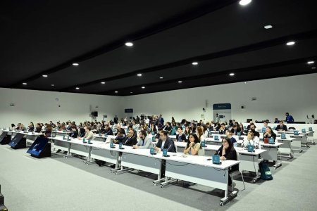 “İqlim üçün mədəniyyət: gənclərin davranış dəyişikliyinin formalaşdırılmasına cəlb edilməsi" mövzusunda panel sessiyası keçirilib