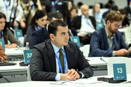 “İqlim üçün mədəniyyət: gənclərin davranış dəyişikliyinin formalaşdırılmasına cəlb edilməsi" mövzusunda panel sessiyası keçirilib