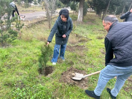 Mərkəzi Aran Regional Mədəniyyət İdarəsinin xidməti əhatəsində olan rayonlarda ağacəkmə aksiyası keçirilib