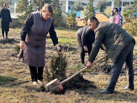 Mərkəzi Aran Regional Mədəniyyət İdarəsinin xidməti əhatəsində olan rayonlarda ağacəkmə aksiyası keçirilib