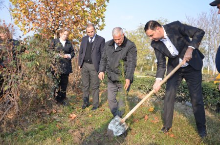 Mərkəzi Aran Regional Mədəniyyət İdarəsinin xidməti əhatəsində olan rayonlarda ağacəkmə aksiyası keçirilib