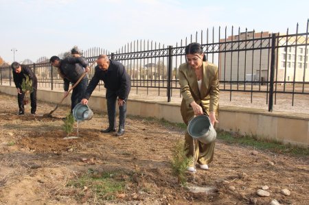 Mərkəzi Aran Regional Mədəniyyət İdarəsinin xidməti əhatəsində olan rayonlarda ağacəkmə aksiyası keçirilib
