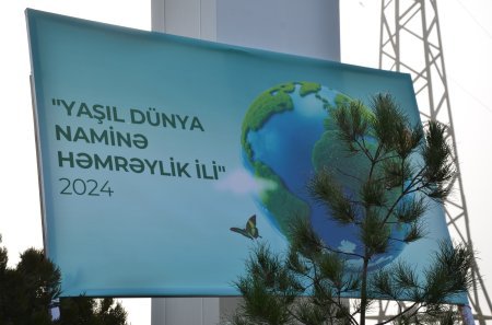 Mərkəzi Aran Regional Mədəniyyət İdarəsinin xidməti əhatəsində olan rayonlarda ağacəkmə aksiyası keçirilib