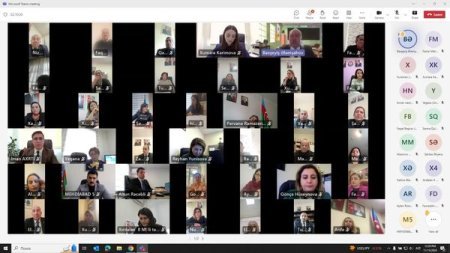 Xüsusi hallara dair online görüş keçirilib