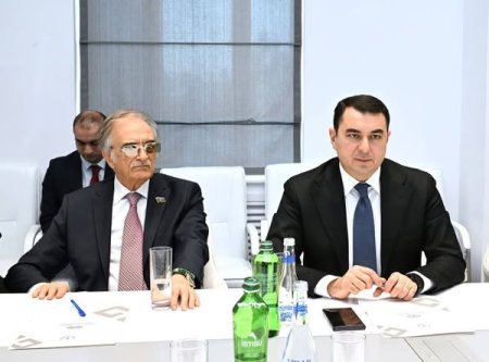 Mədəniyyət Nazirliyi yanında İctimai Şuranın üzvləri ilə görüş keçirilib