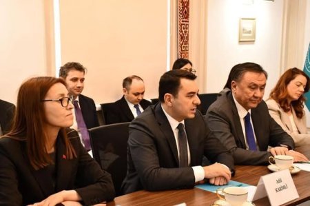 Mədəniyyət naziri Beynəlxalq Türk Akademiyasında qurumun rəhbəri ilə görüşüb