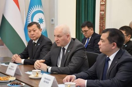 Mədəniyyət naziri Beynəlxalq Türk Akademiyasında qurumun rəhbəri ilə görüşüb