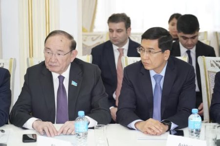 Adil Kərimli Astanada "Daşa yazılmış tarix" kitabının təqdimatında çıxış edib