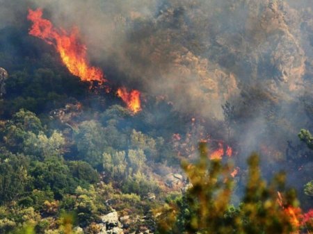 Ağdərədə meşə massivində yanğın başladı