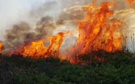 FHN Cəbrayıl və Füzulidəki yanğınlarla bağlı məlumat yaydı