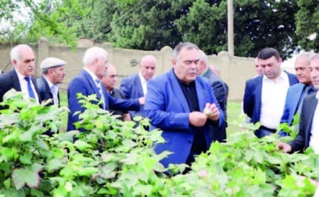 Aqrar elm və təhsilə xidmətdə keçən ömür