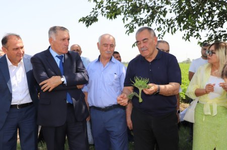 FƏDAKAR ALİM ÖMRÜ