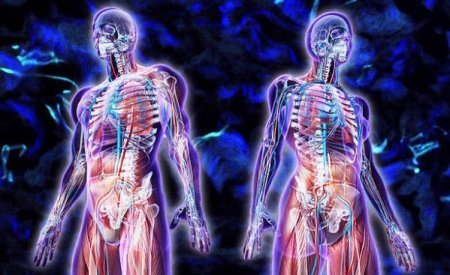 İnsanın gücü neçə yaşından azalmağa başlayır?