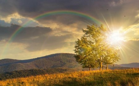 Bu gün 15 dərəcə isti olacaq