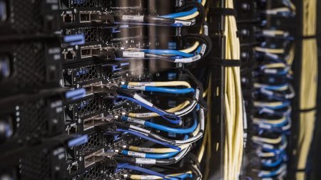 Süni intellektlə nəzakətli danışmaq enerji istehlakını artırır