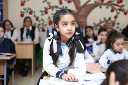 “Qaraca Çoban” mövzusunda nümunəvi dərs təqdim olunmuşdur