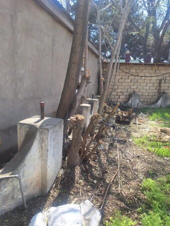 Mülkümü “REKET”LƏR ƏLİMDƏN ZORLA ALIR, ölümlə TƏHDİD EDİLİRƏM -Fərqanə Abbasovadan ŞOK ŞİKAYƏT/VİDEO