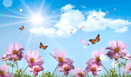 Sabah 23 dərəcə isti olacaq