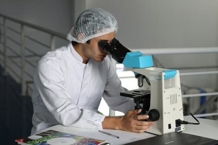 Alimlər qocalmanın sirrini açdı: Yeni müalicə üsulları gəlir