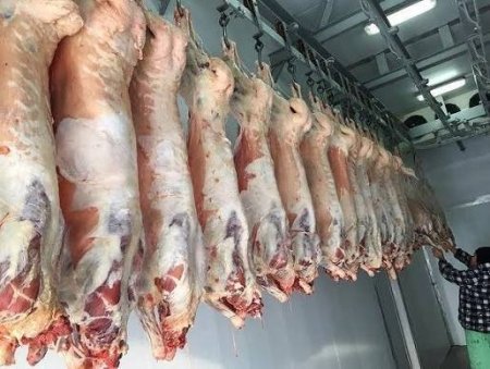 Niyə bu qədər ucuzdur? - 12 manata satılan quzu əti ilə bağlı ekspert rəyi