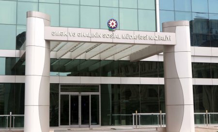 Əlillik təyinatı ilə bağlı yeni rəqəmlər açıqlandı