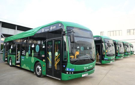 Bu avtobuslar daha 