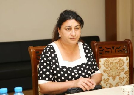 Göygöl rayonunda vətəndaş qəbulu keçirilib