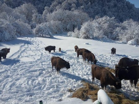XƏBƏRDARLIQ: Qış gözlənilməz ola bilər