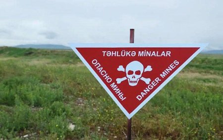 997 hektar ərazi minalardan təmizləndi
